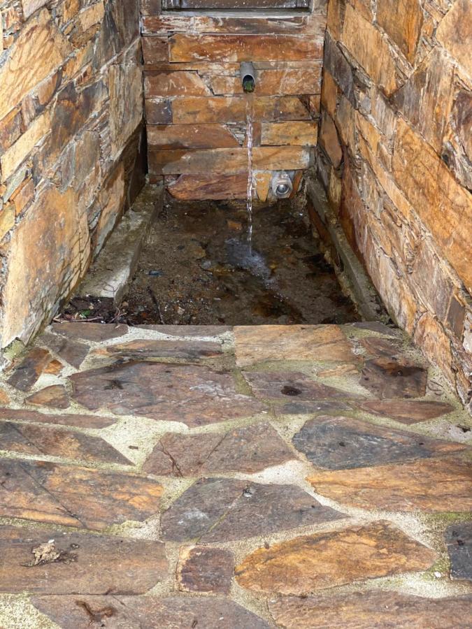 Isabel House Alojamento Rural Pampilhosa da Serra Eksteriør billede